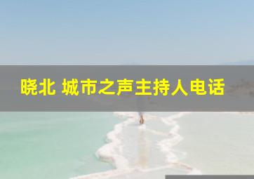 晓北 城市之声主持人电话